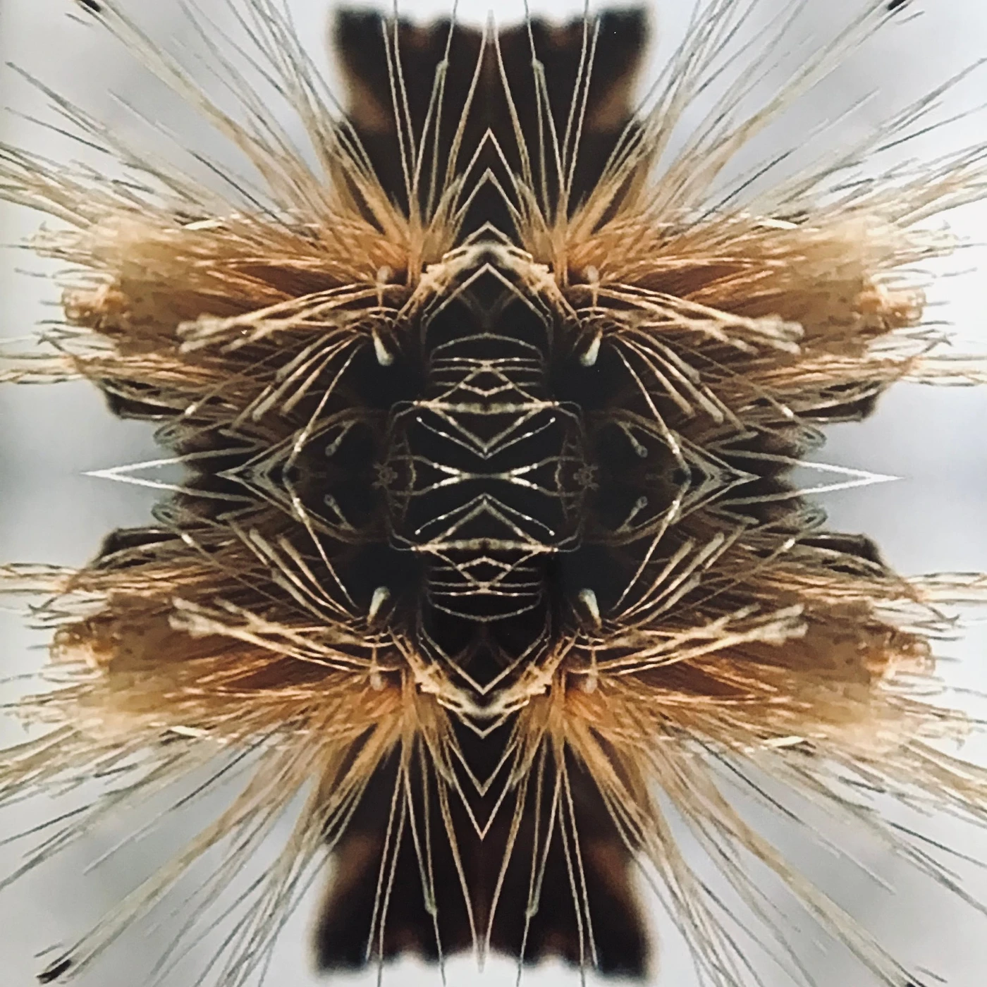 Yakuza SUTRA Vinyl Record