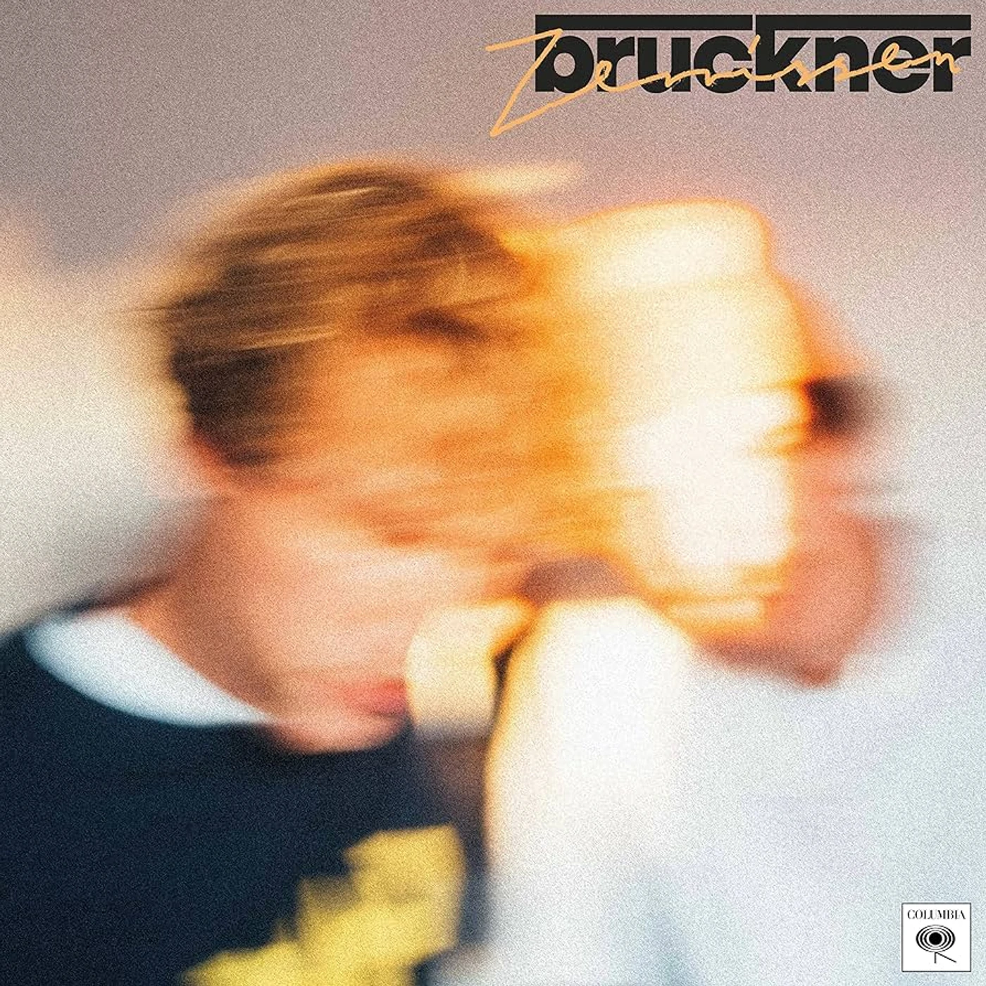 Bruckner ZERRISSEN Vinyl Record