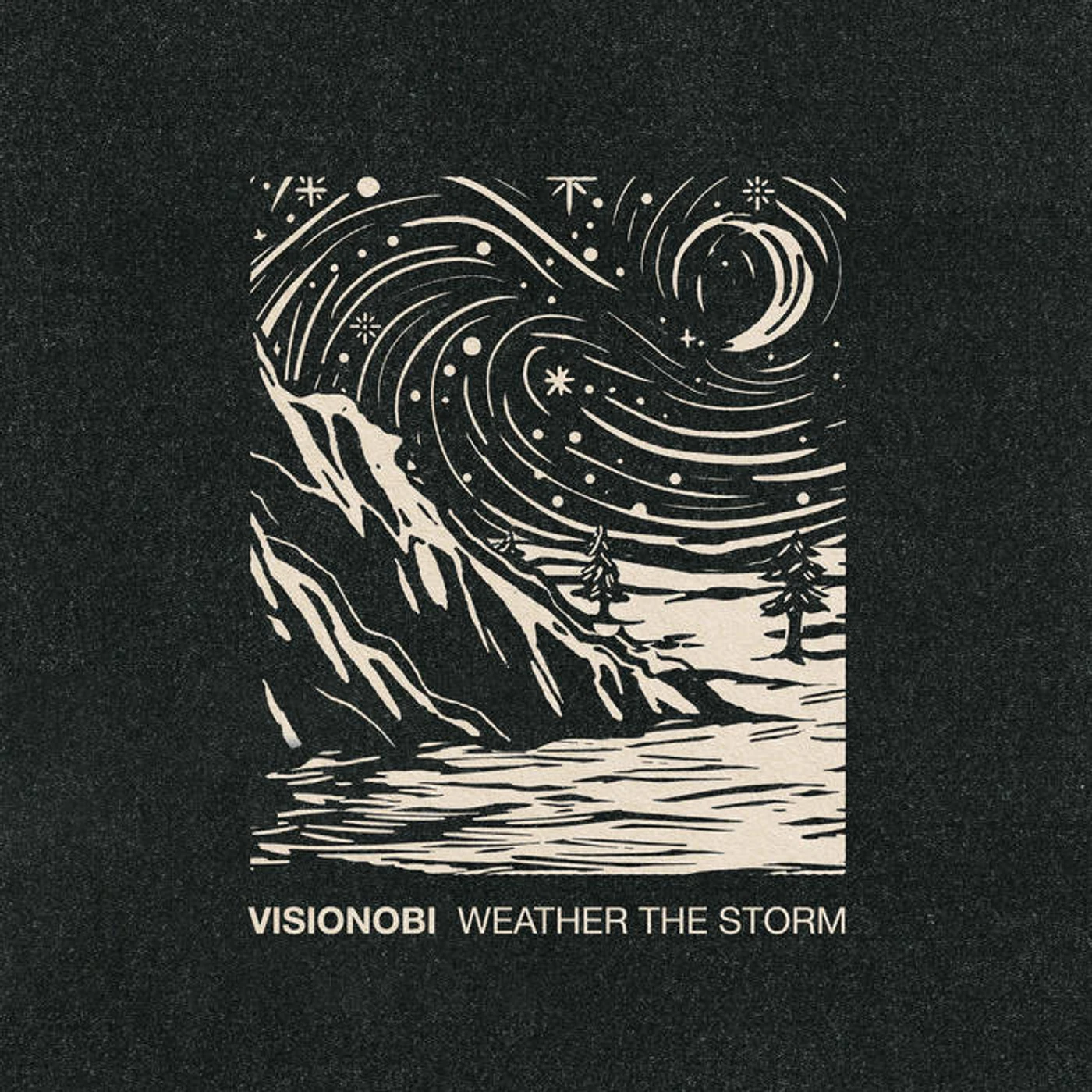 Visionobi WEATHER THE STORM Vinyl Record