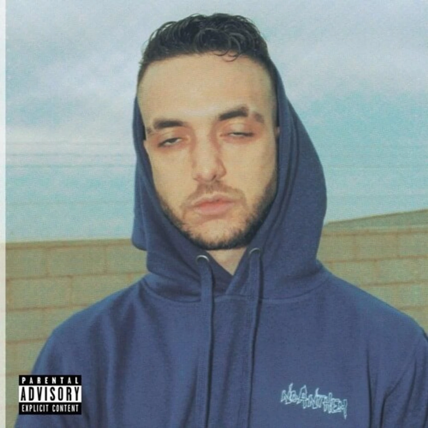 C. Tangana Avida Dollars Vinyl Record
