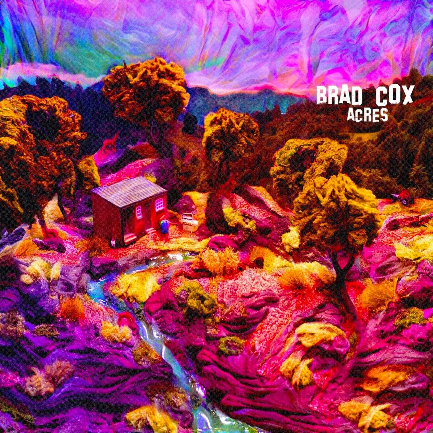 Brad Cox ACRES Vinyl Record