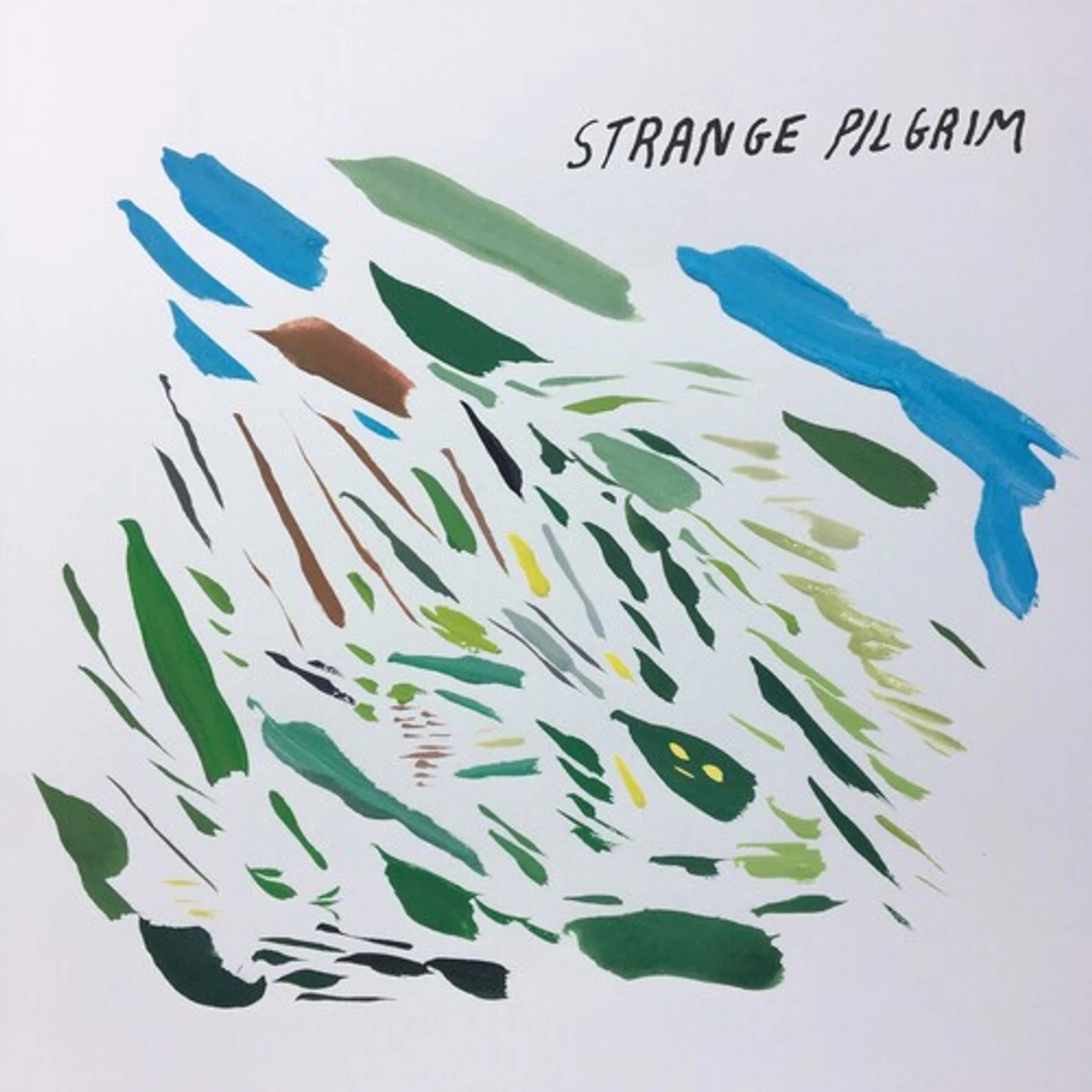 STRANGE PILGRIM CD