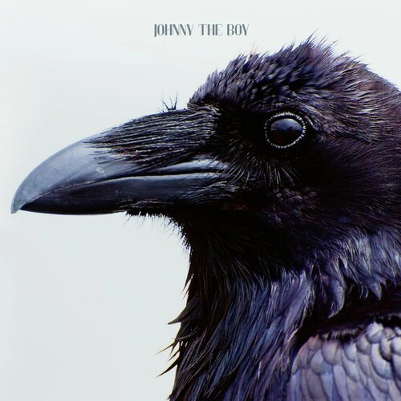 Johnny the Boy YOU Vinyl Record