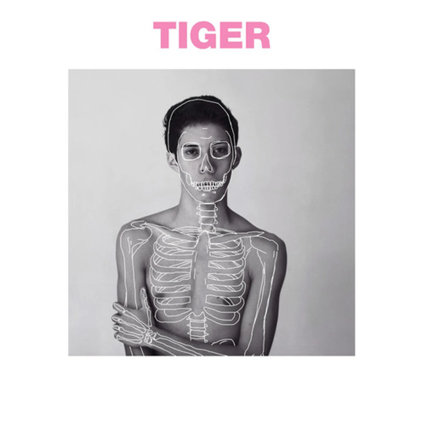 The Sound Of Animals Fighting TIGER AND THE DUKE Vinyl Record