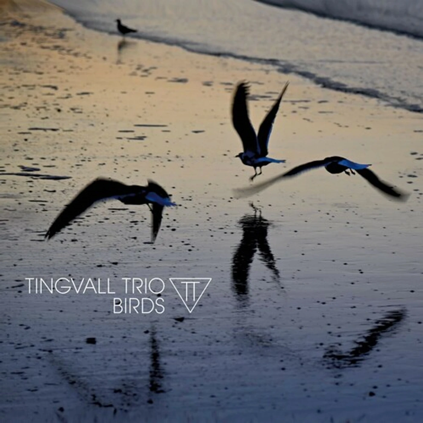 Tingvall Trio BIRDS CD