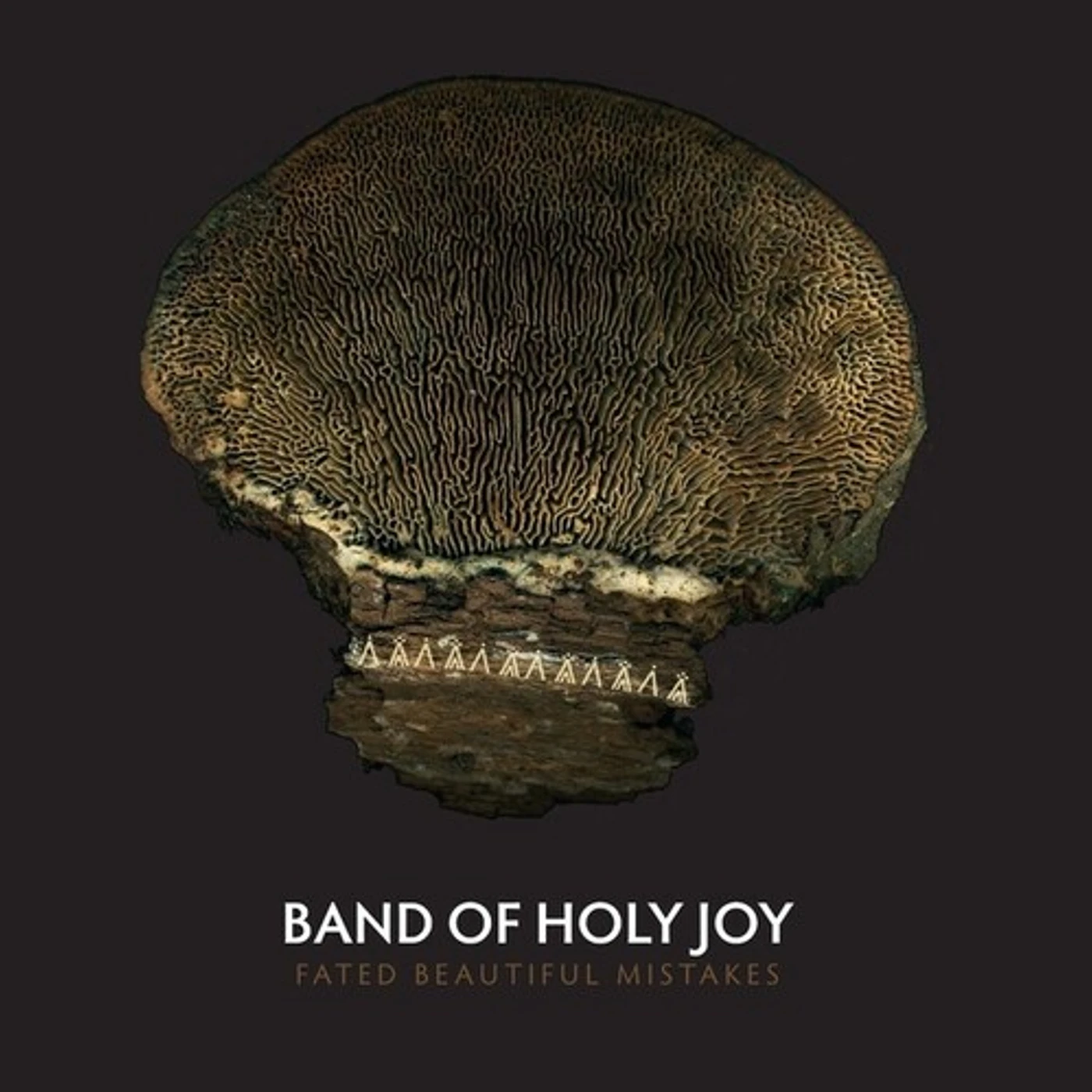 Band of Holy Joy FATED BEAUTIFUL MISTAKES Vinyl Record