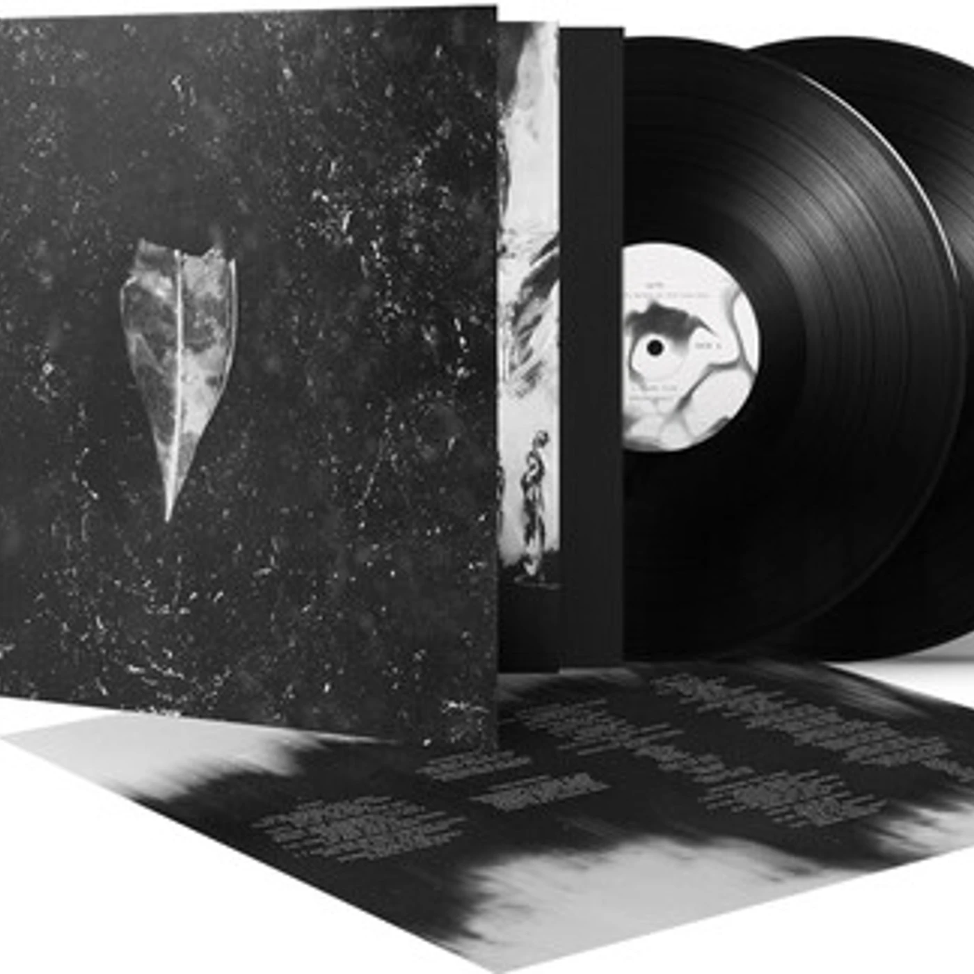 Bees Made Honey in the Vein Tree AION Vinyl Record