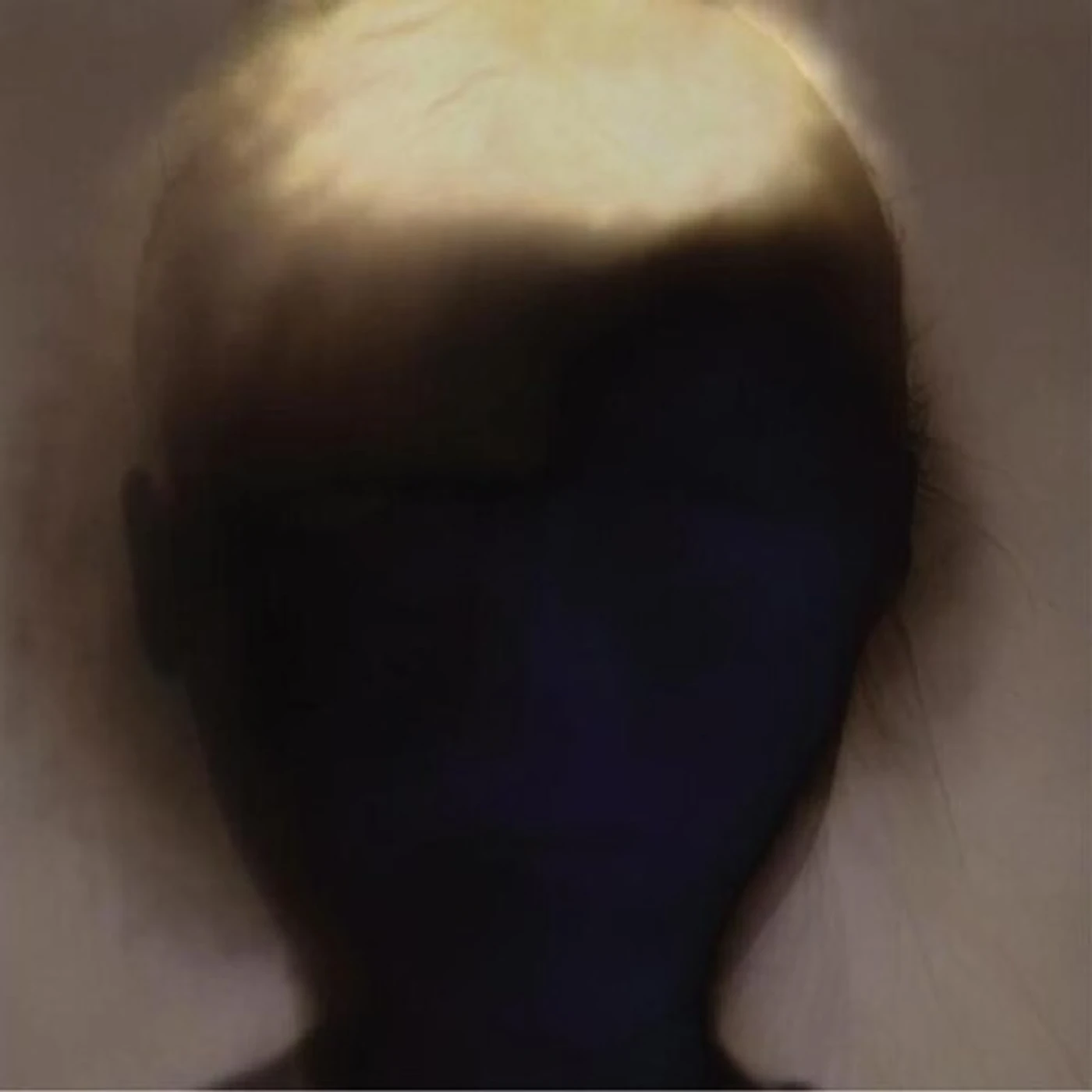 Sun's Signature Vinyl Record