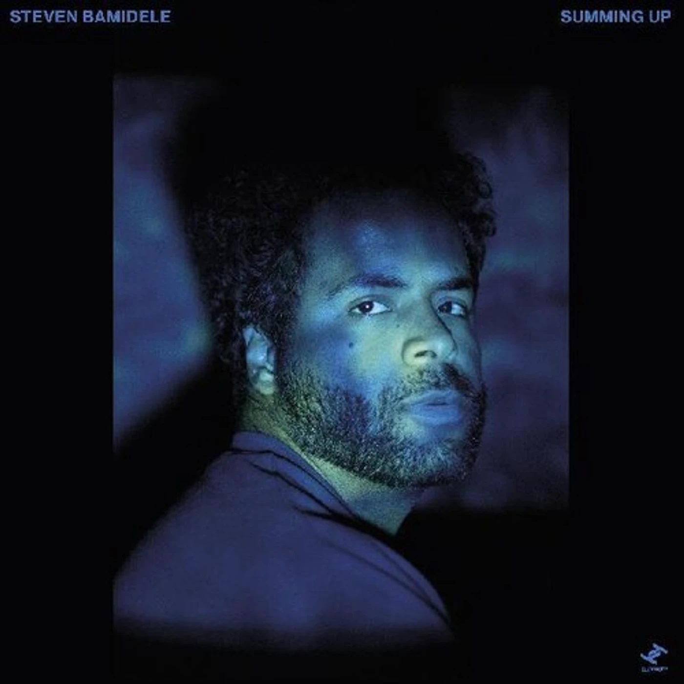 Steven Bamidele SUMMING UP Vinyl Record