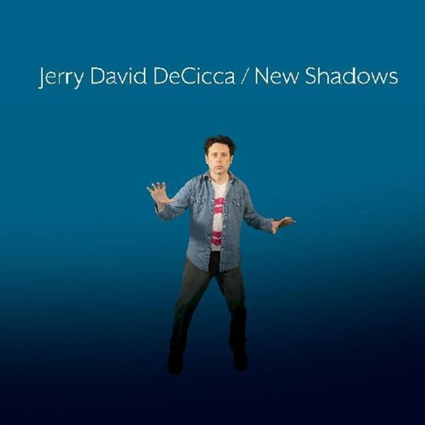 Jerry David DeCicca NEW SHADOWS Vinyl Record