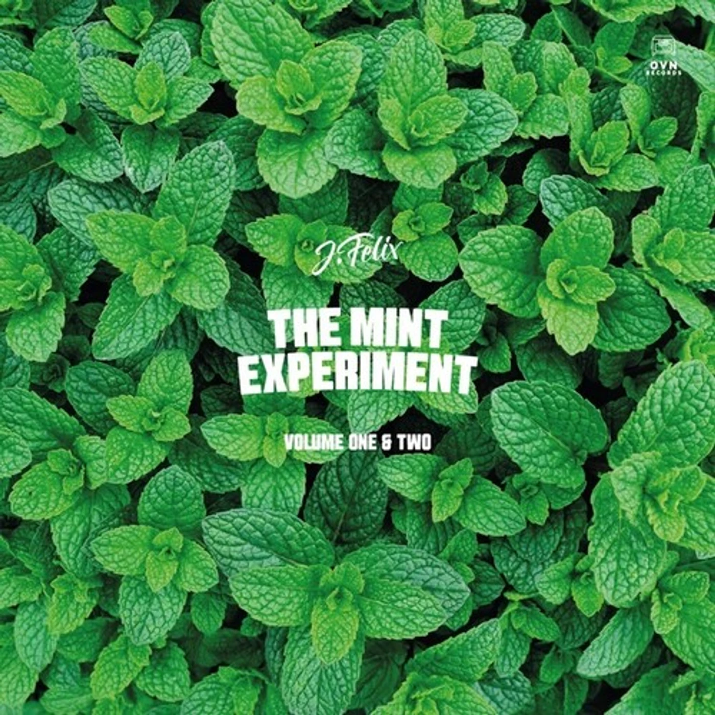 J-Felix MINT EXPERIMENT V. 1 & 2 Vinyl Record