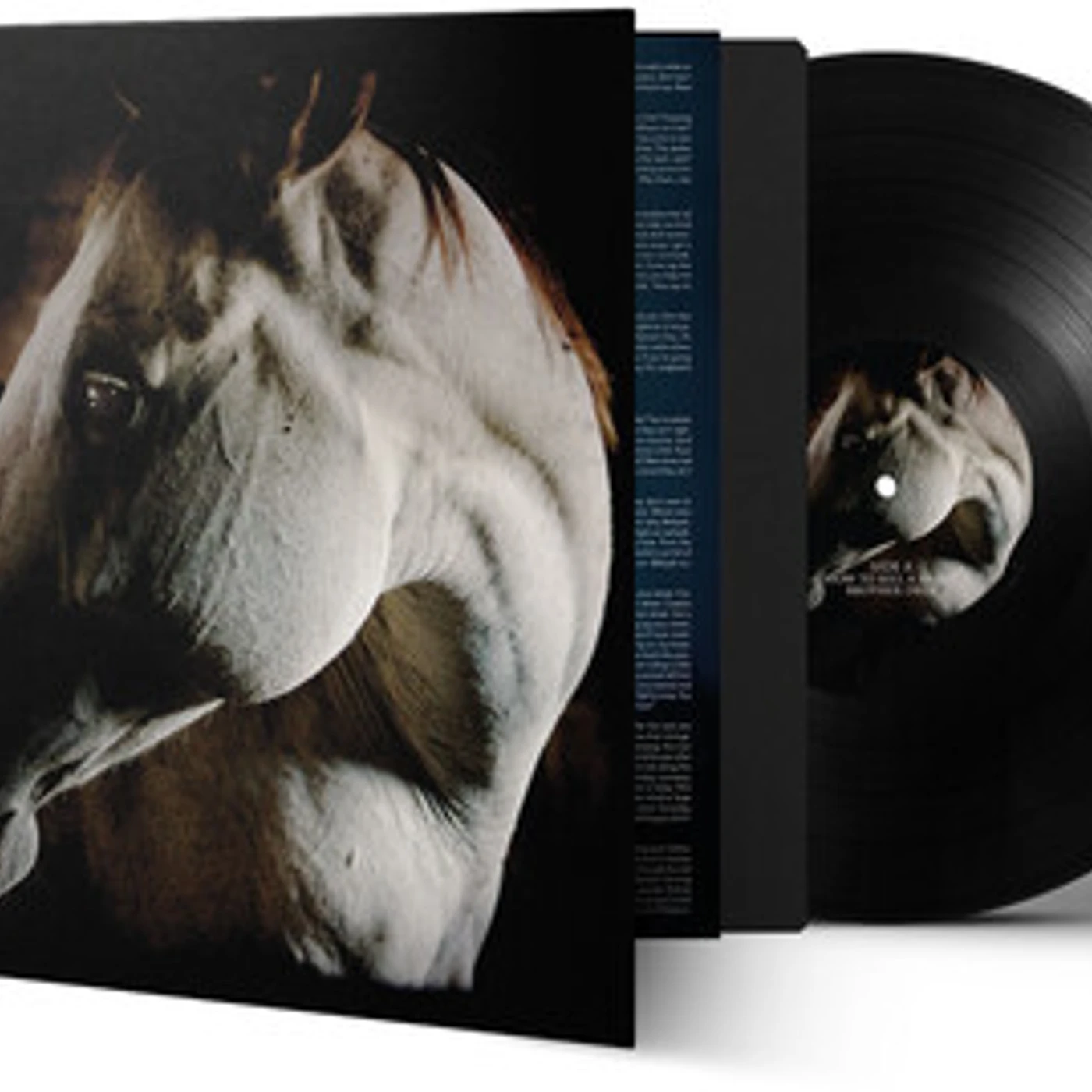 Brother Dege How to Kill a Horse Vinyl Record