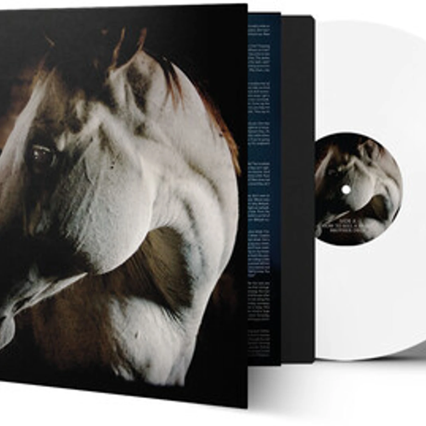 Brother Dege How to Kill a Horse Vinyl Record