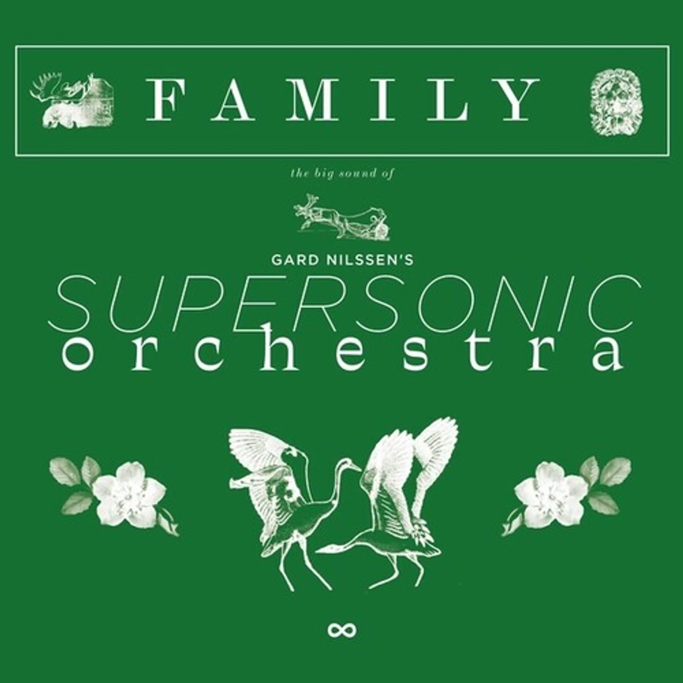 Gard Nilssen's Supersonic Orchestra FAMILY Vinyl Record