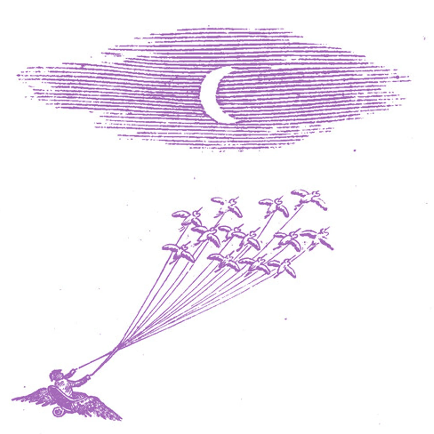 Feeling Figures MIGRATION MAGIC Vinyl Record