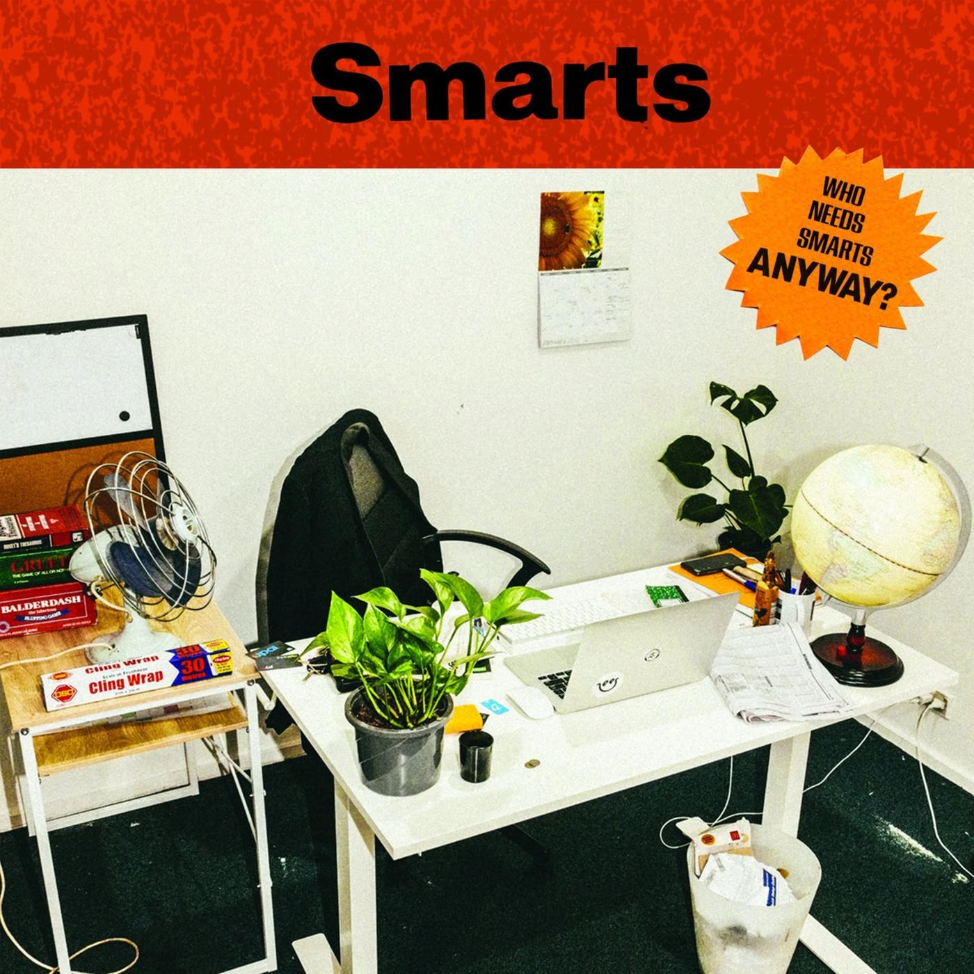 WHO NEEDS SMARTS ANYWAY? Vinyl Record