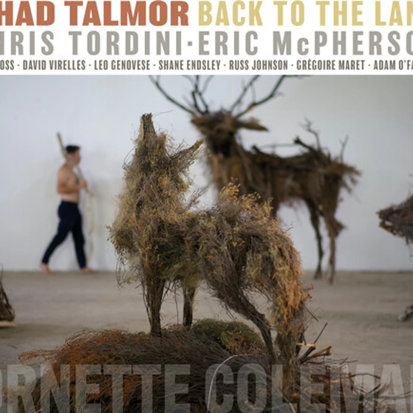 Ohad Talmor BACK TO THE LAND CD
