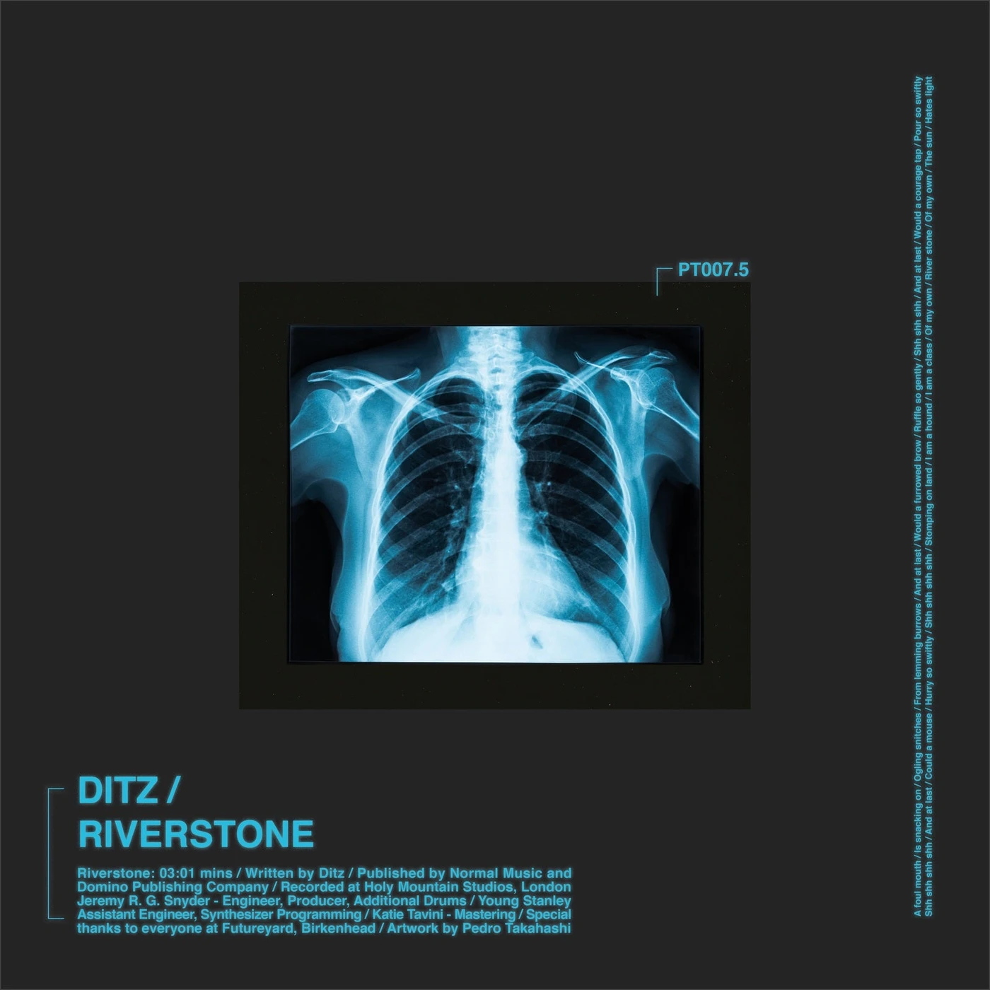 DITZ RIVERSTONE Vinyl Record
