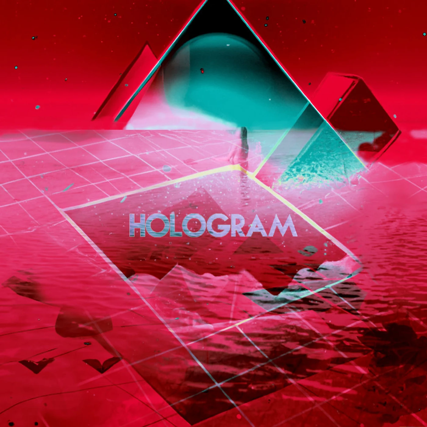 Amplifier HOLOGRAM 180 FX VINYL Vinyl Record
