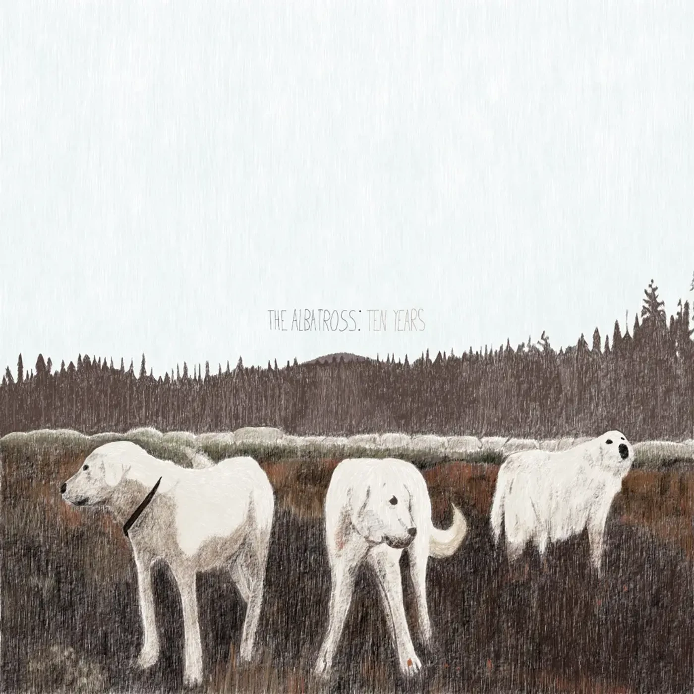 Foxing ALBATROSS: TEN YEARS Vinyl Record