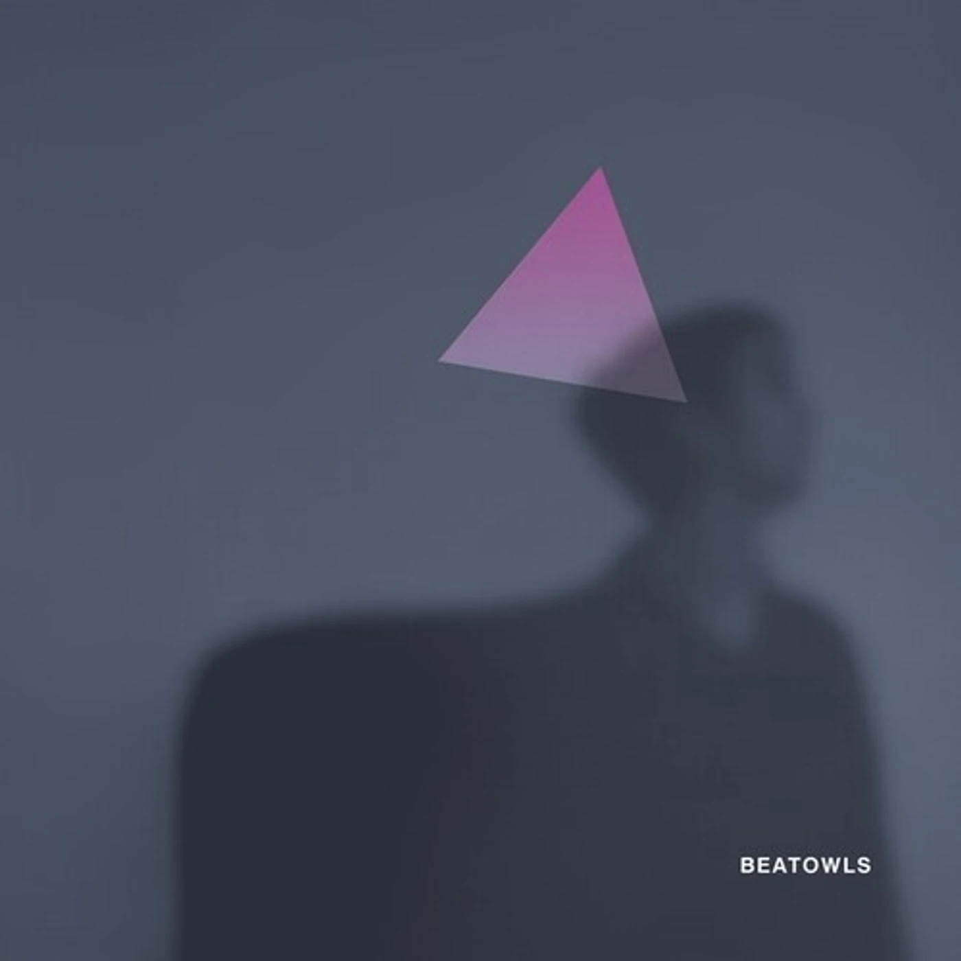 Beatowls MARMA Vinyl Record