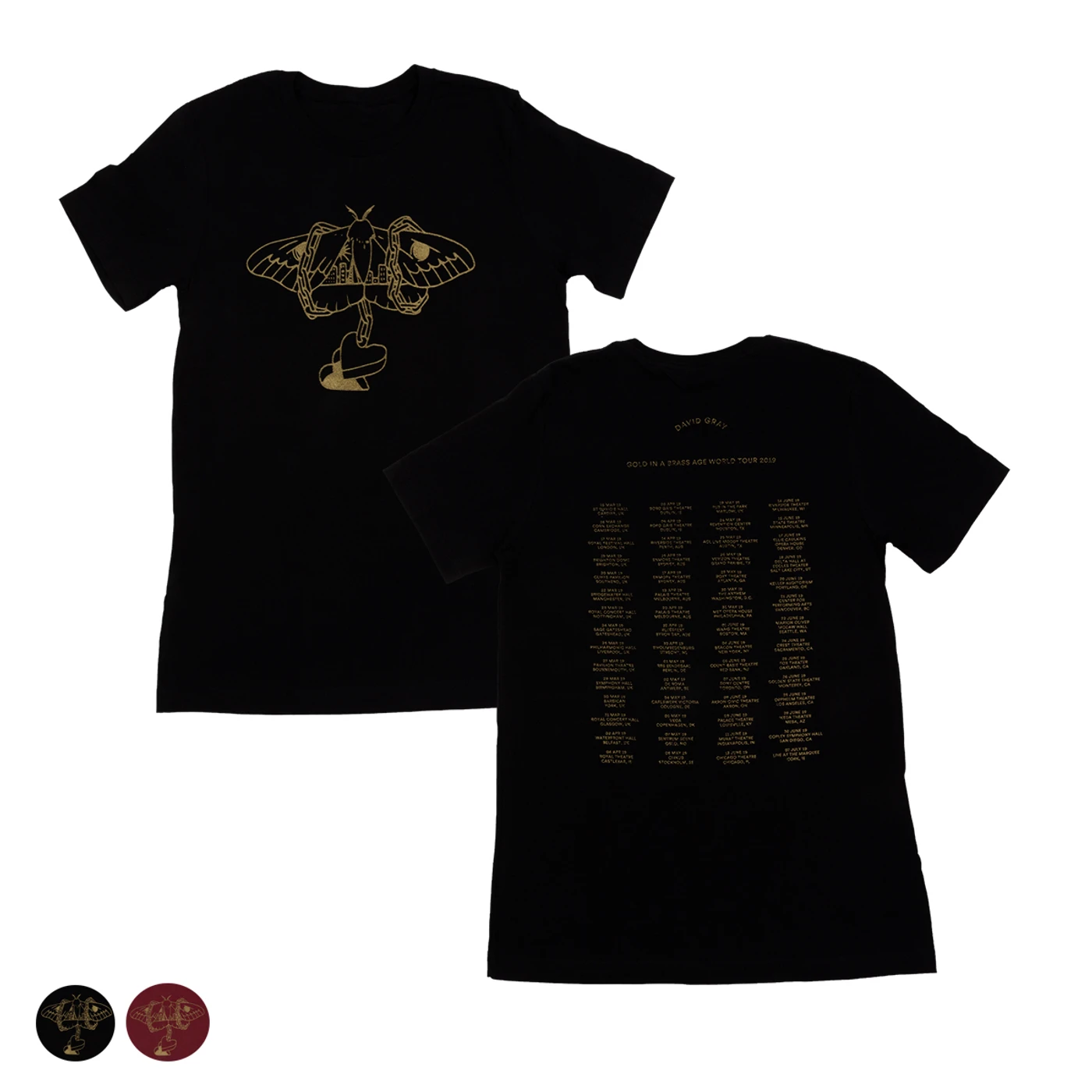 David Gray 2019 Summer US Tour T-shirt