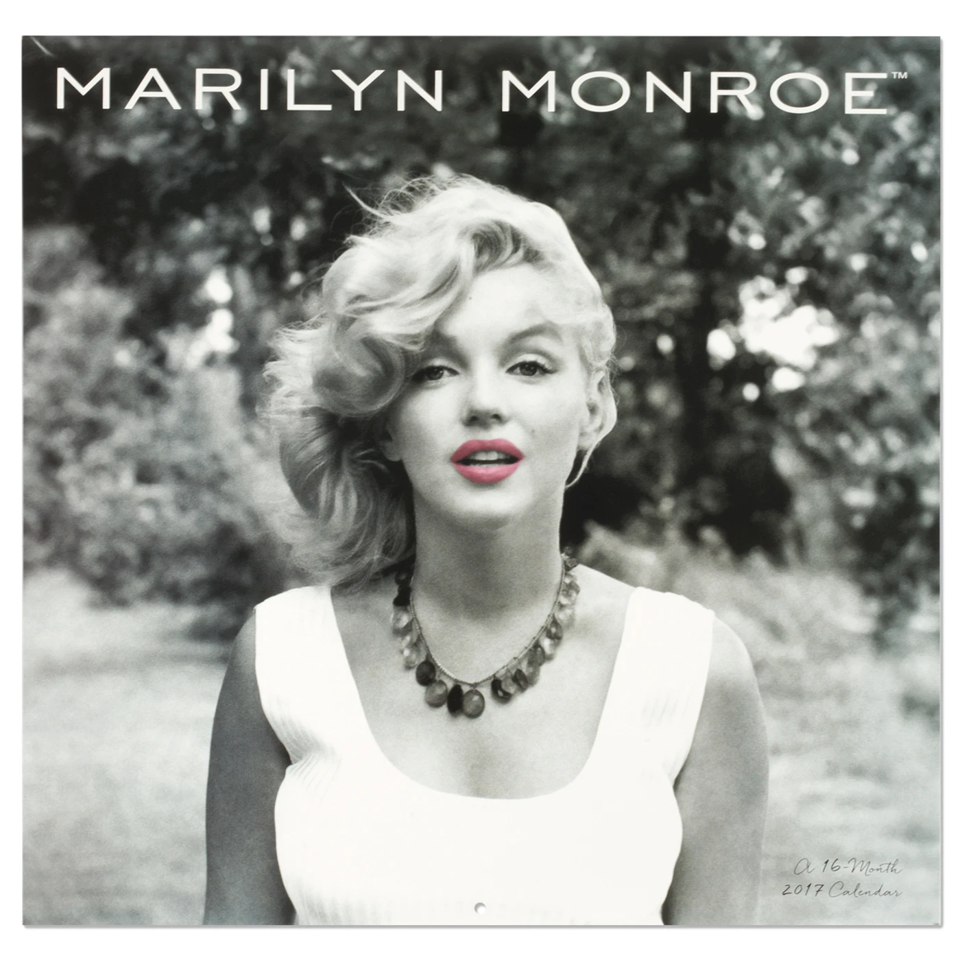 Marilyn Monroe 2017 Wall Calendar