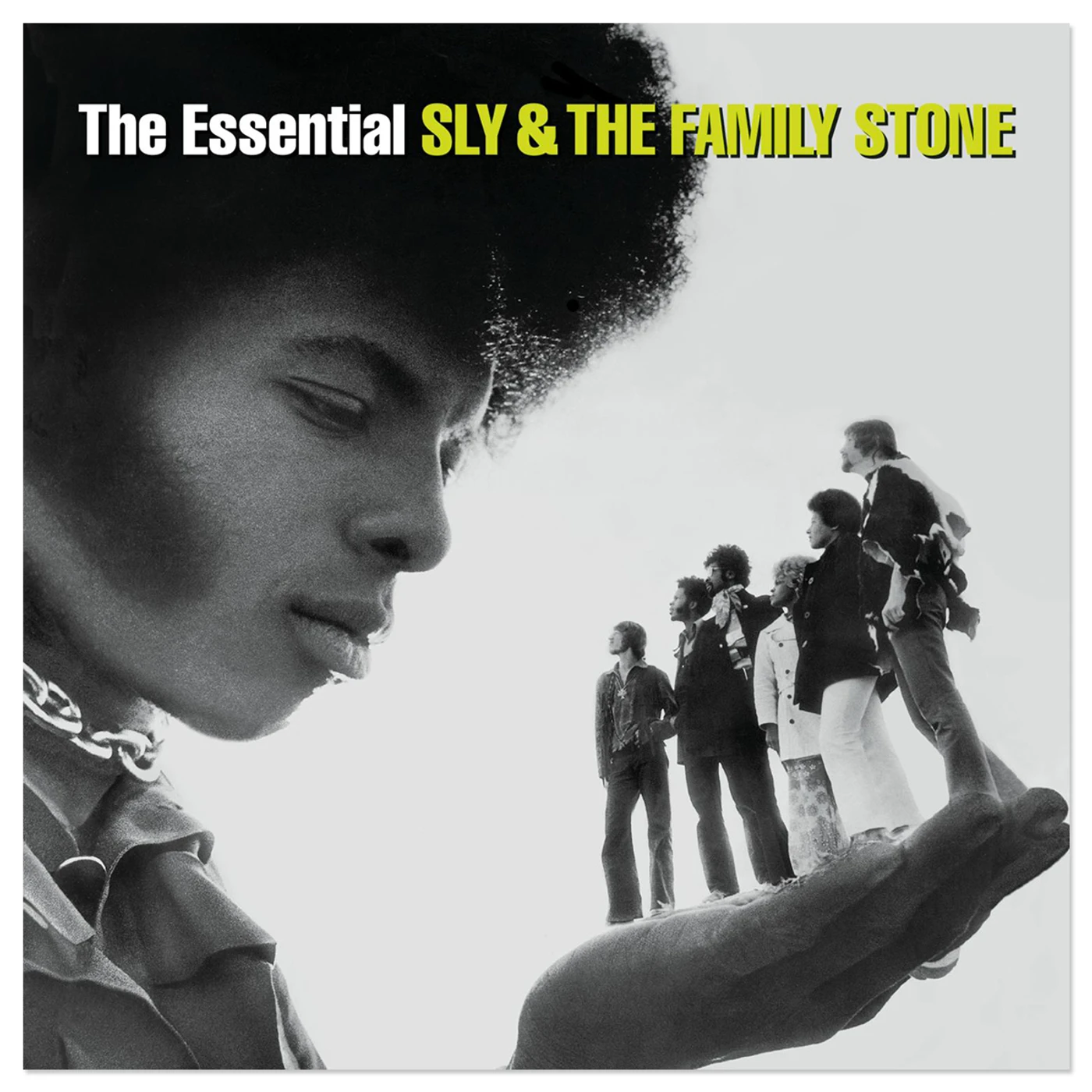 Sly & The Family Stone The Essential Sly & The Family Stone CD