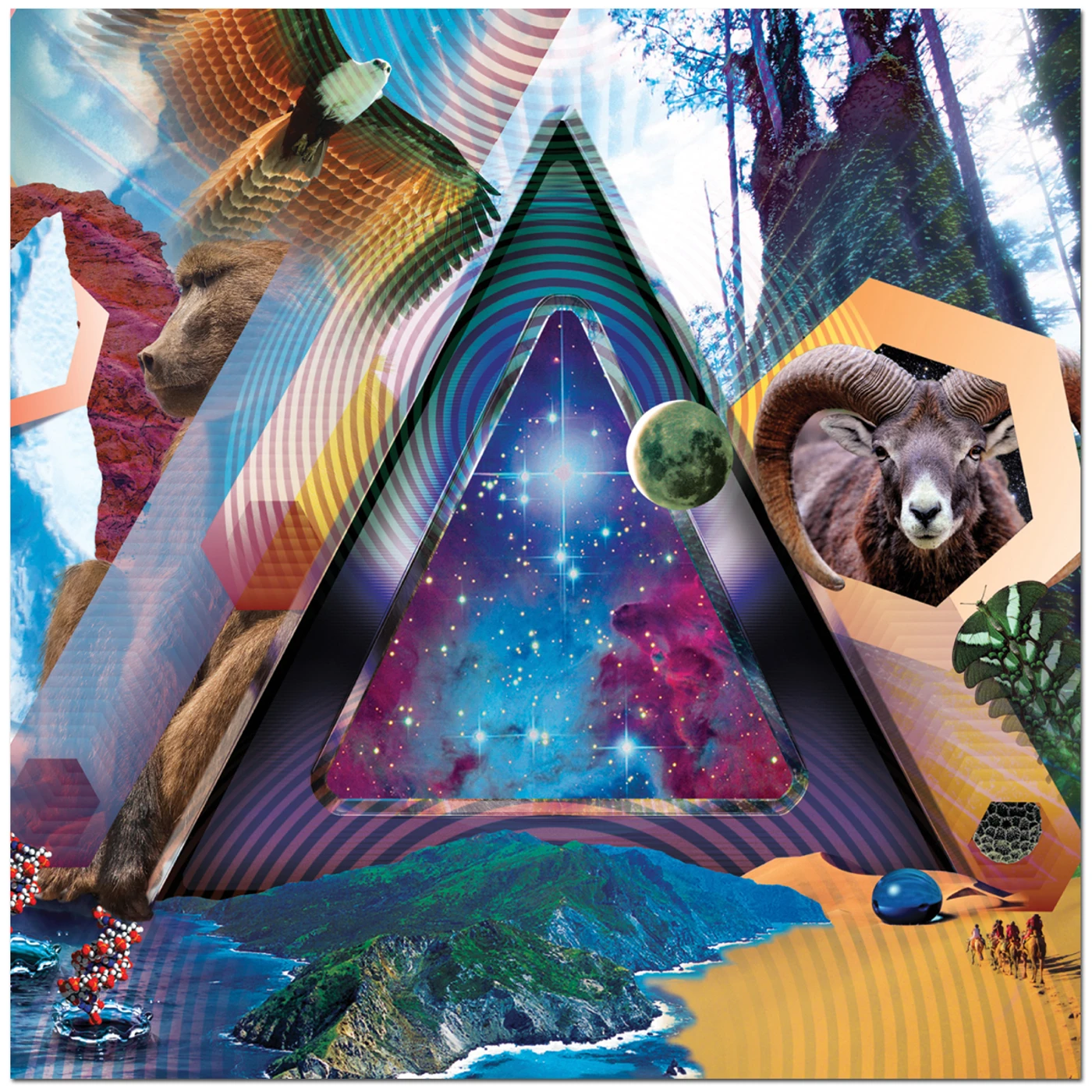 311 – Universal Pulse CD