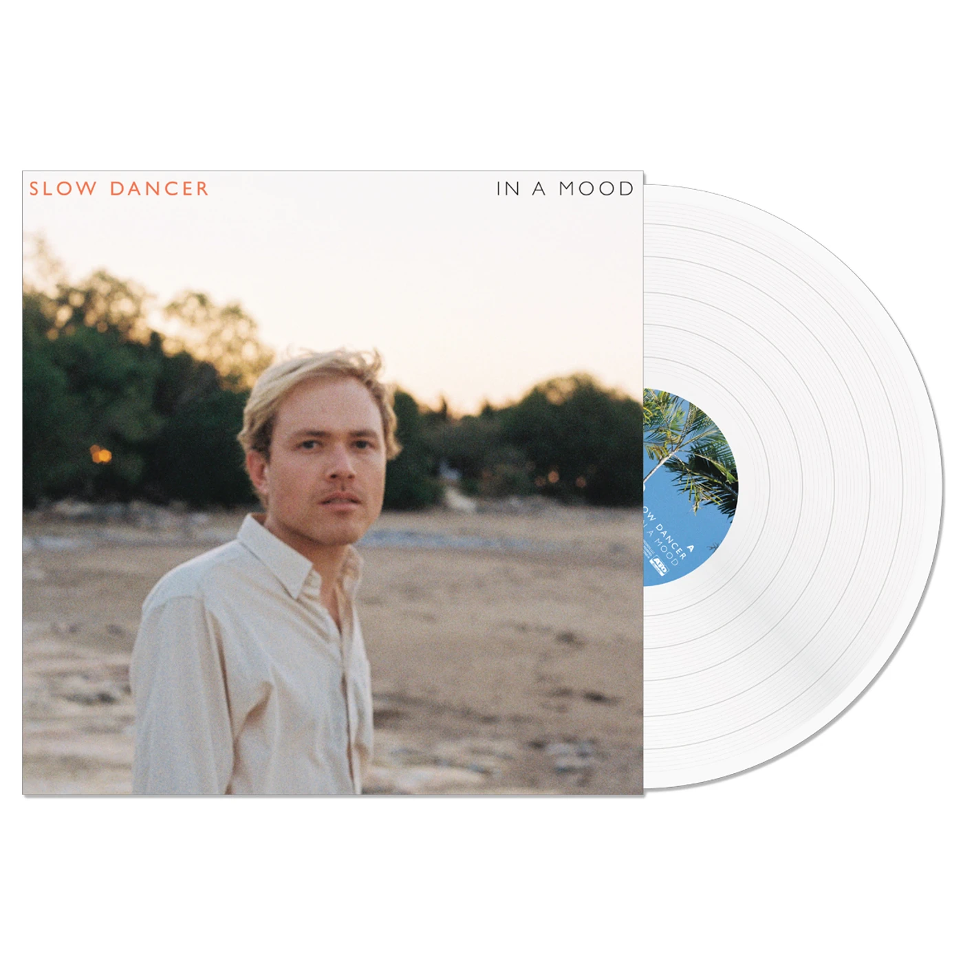 Slow Dancer - In A Mood LP (Vinyl)