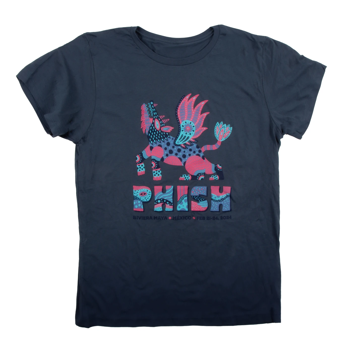 Phish Alibreje Flight Tee on Vintage Navy