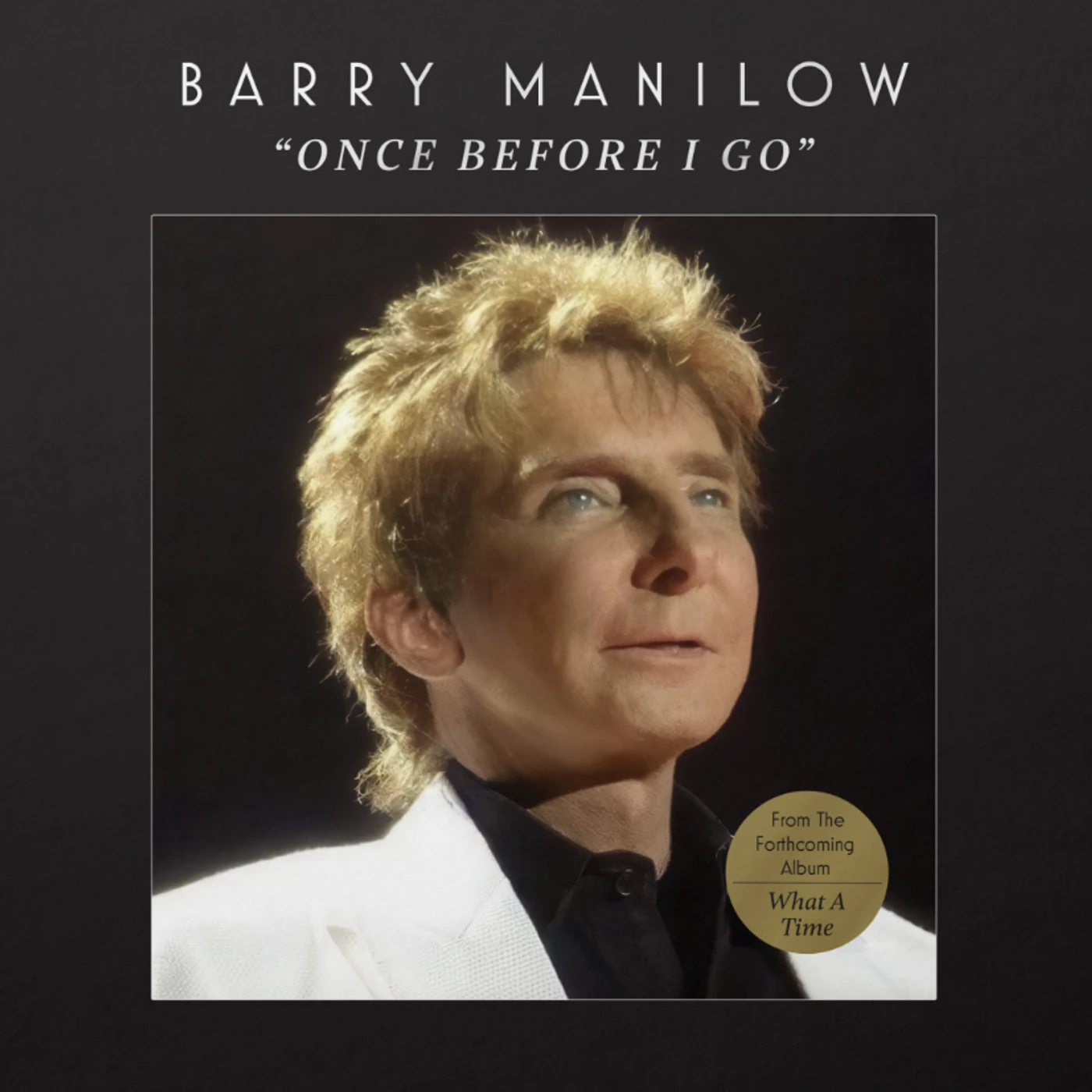 Barry Manilow Once Before I Go Vinyl 12"