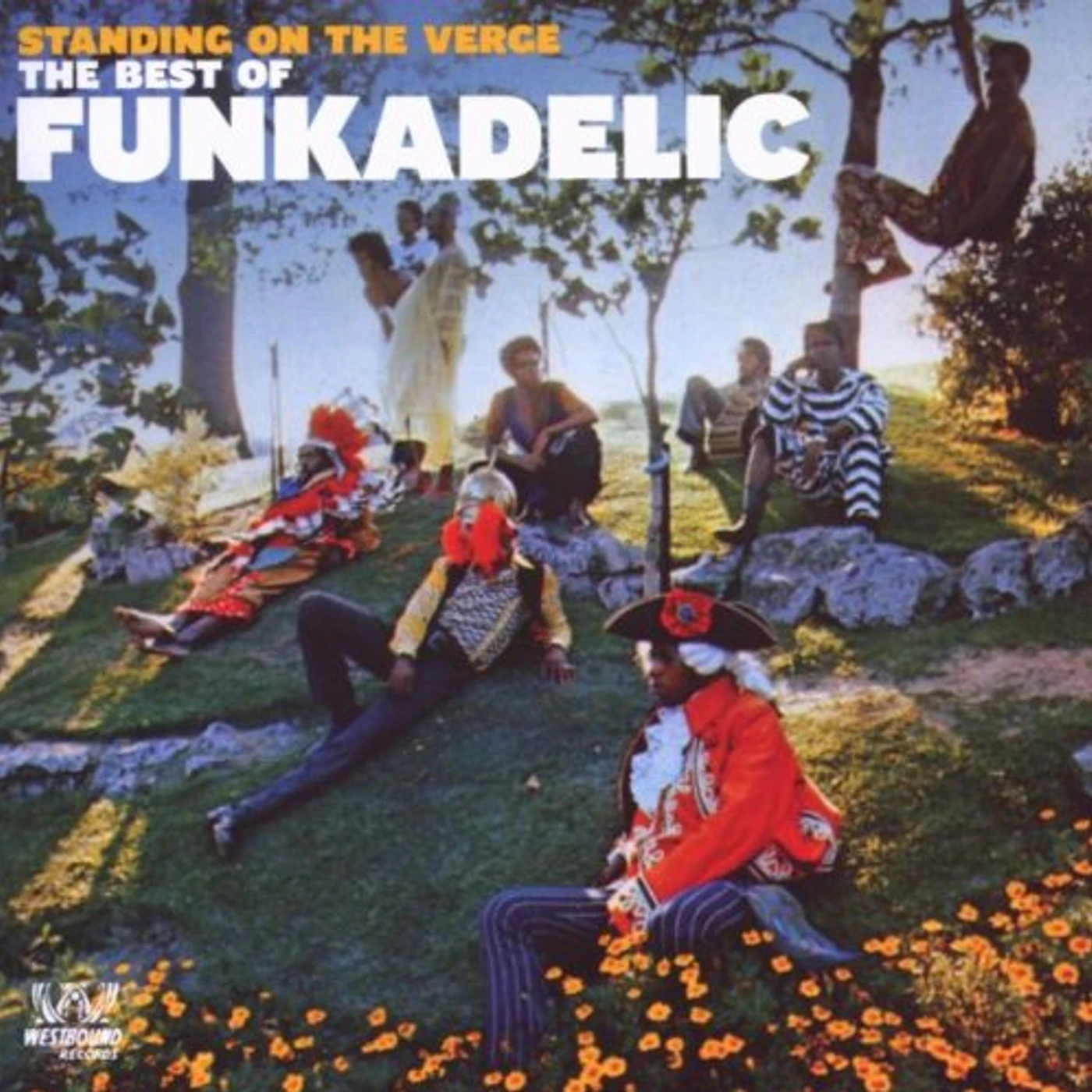 Funkadelic - Standing On the Verge of Getting It On LP (Vinyl)