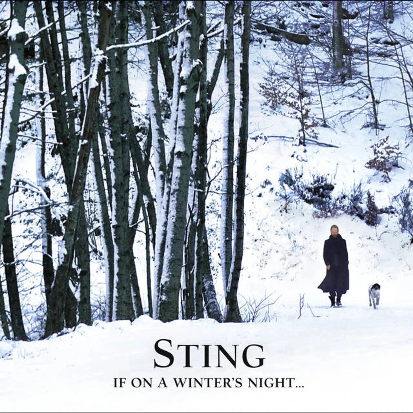 Sting - If On A WInter's Night