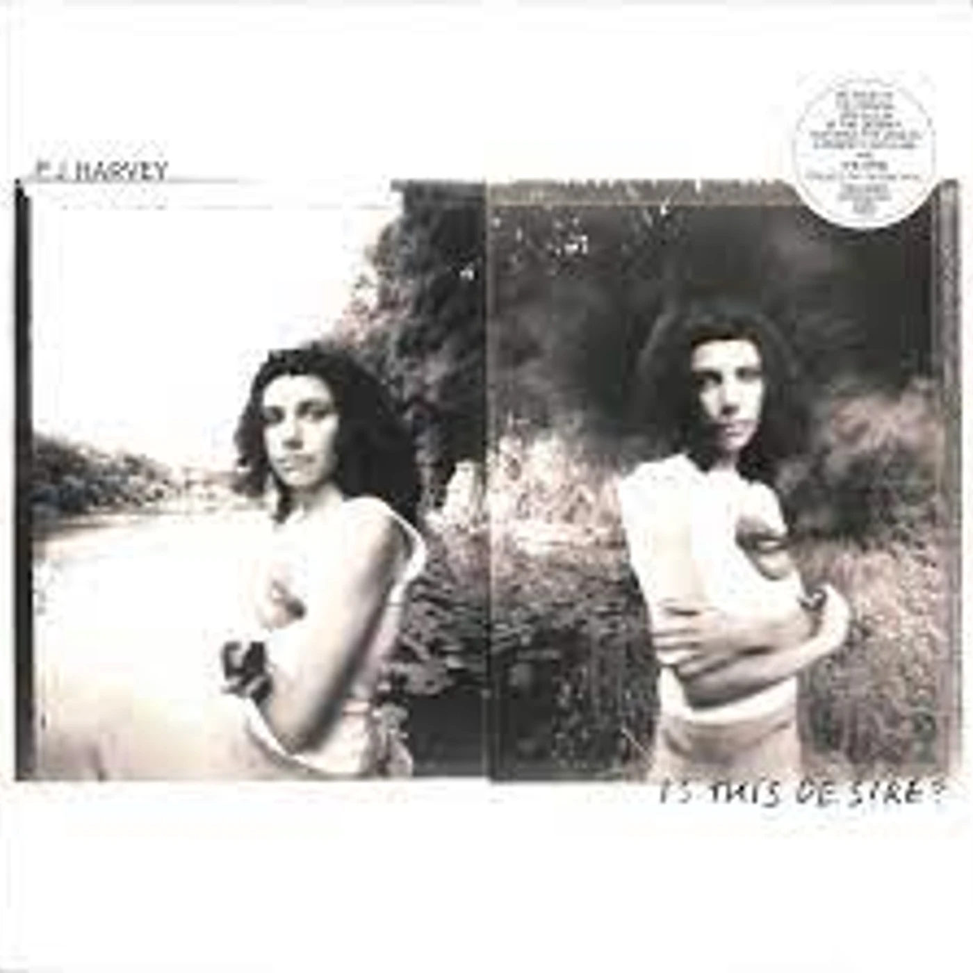 PJ Harvey - Is This Desire?