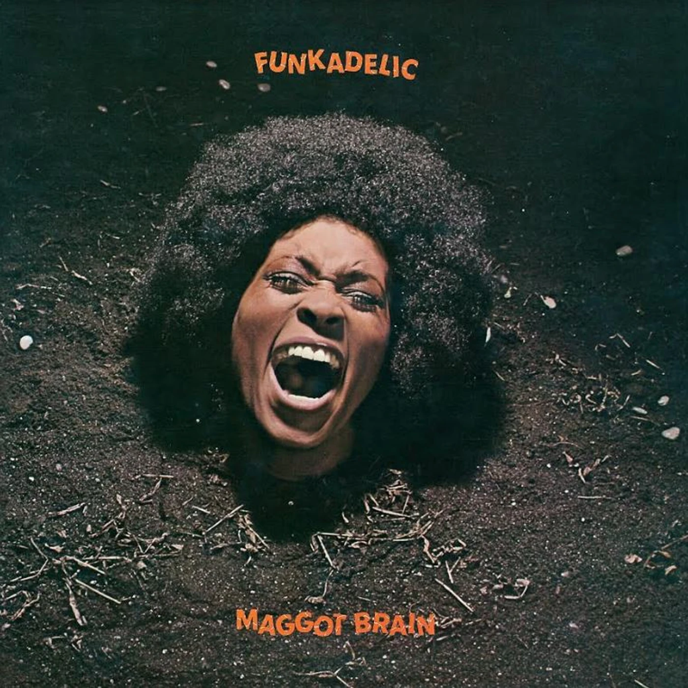 Funkadelic - Maggot Brain 50th anniversary