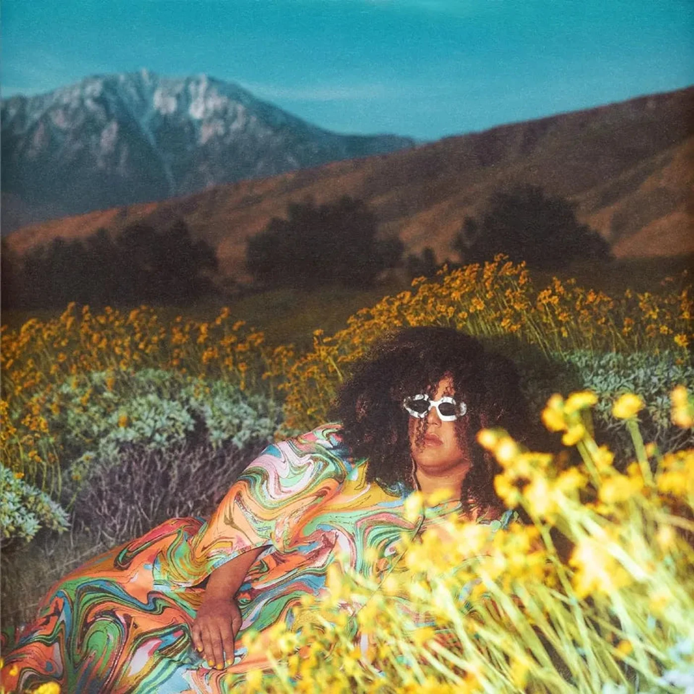 Brittany Howard - What Now (Vinyl)
