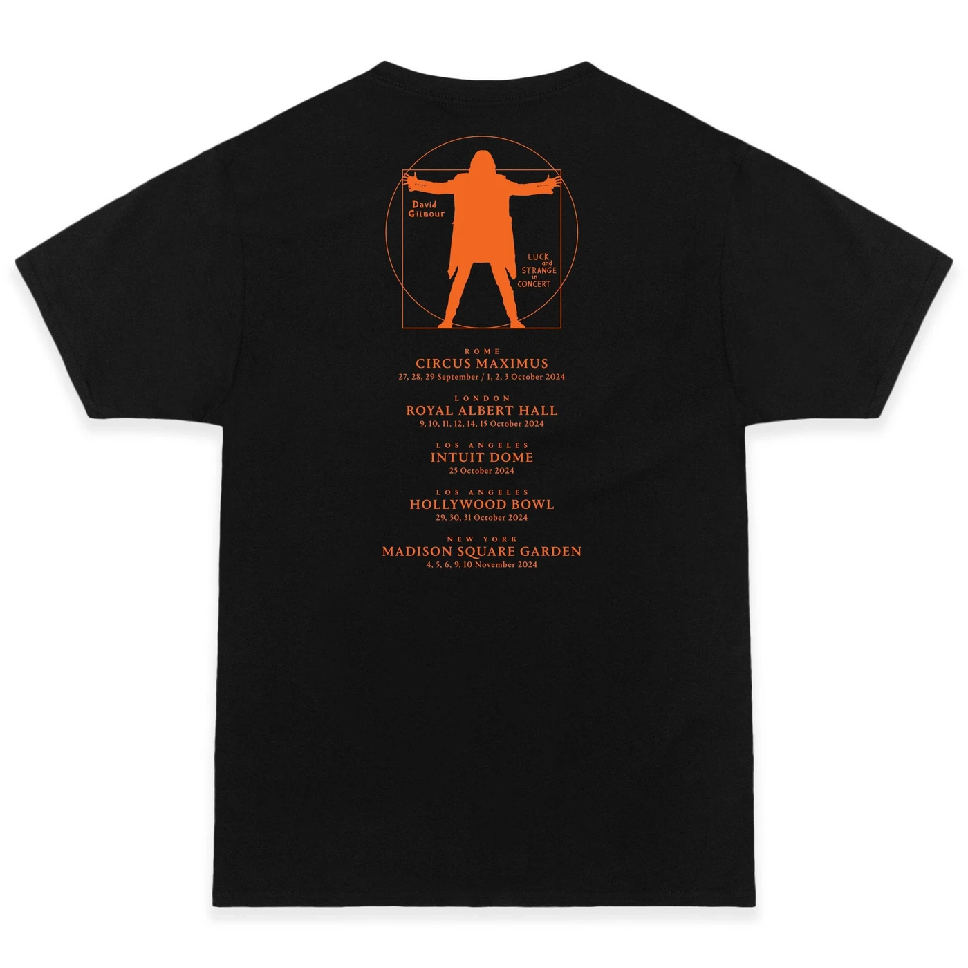 David Gilmour Luck and Strange in Concert Premium T-Shirt