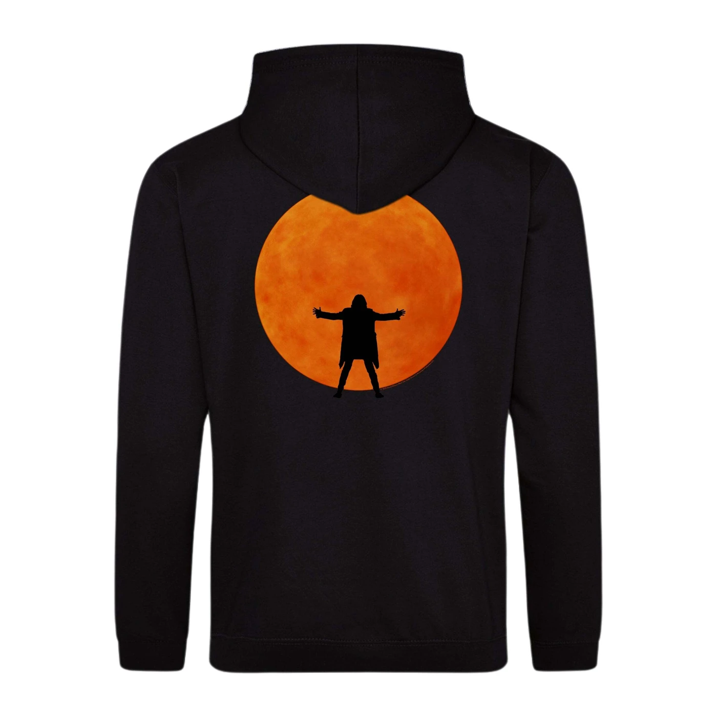 David Gilmour Luck and Strange in Concert Zip Hoodie