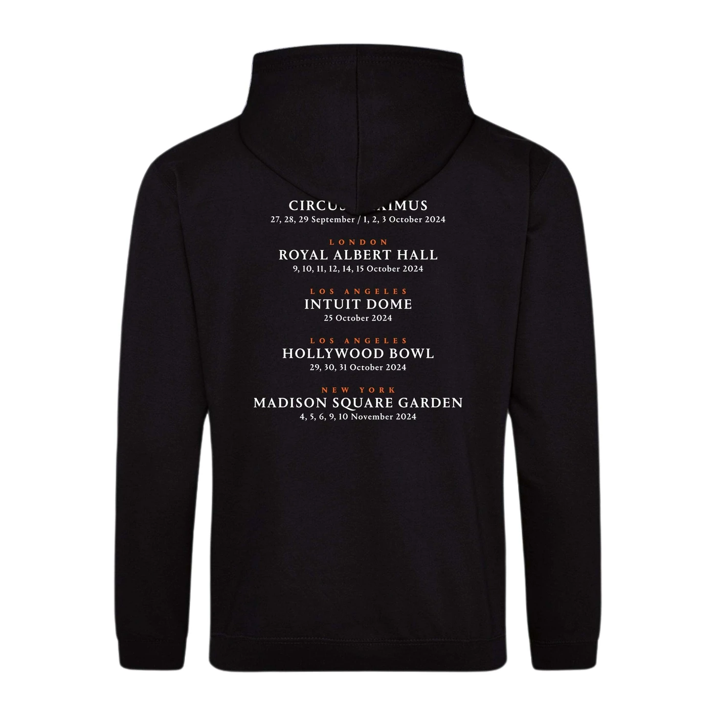 David Gilmour Luck and Strange in Concert Photo Hoodie