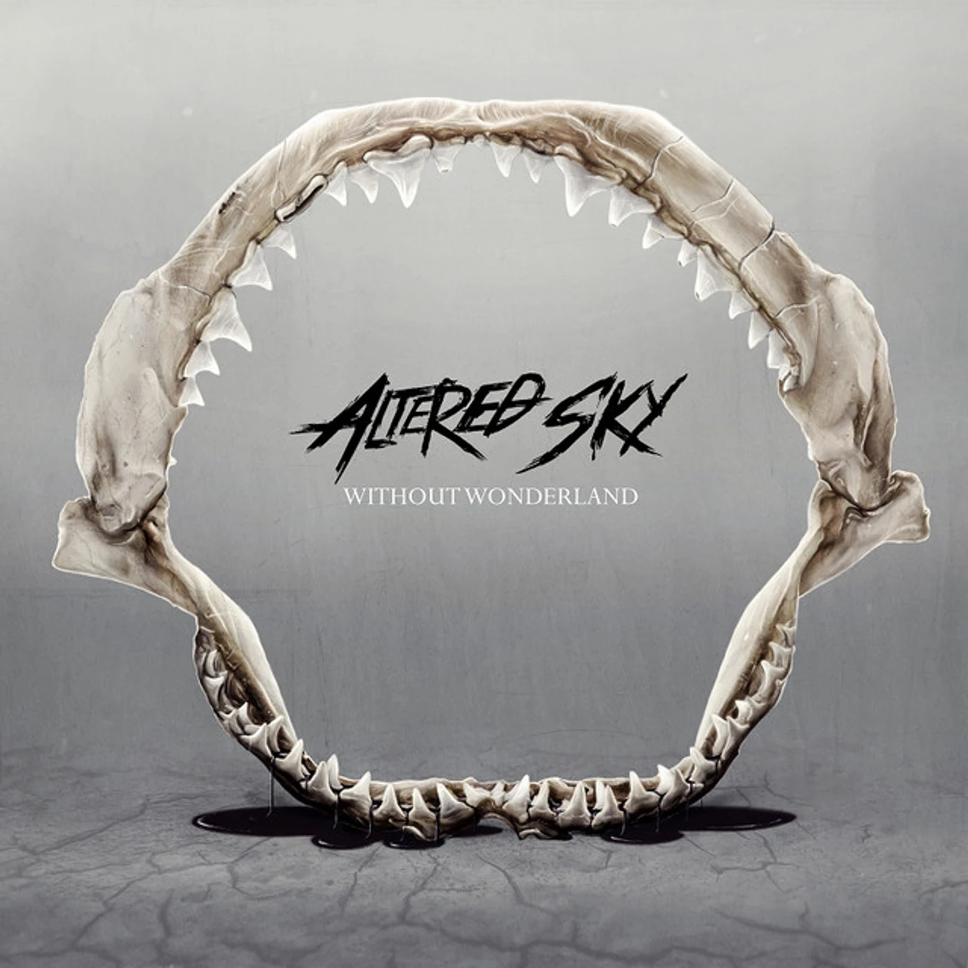 Altered Sky WITHOUT WONDERLAND CD