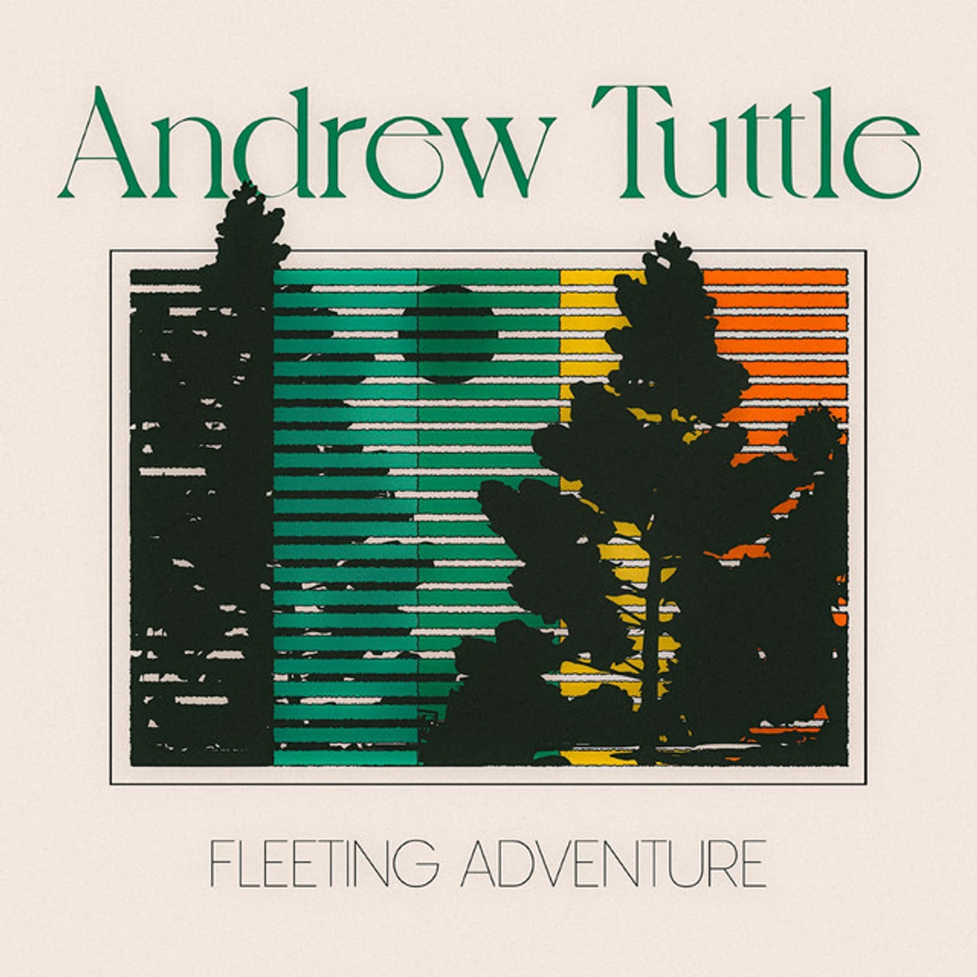 Andrew Tuttle Fleeting Adventure Vinyl Record