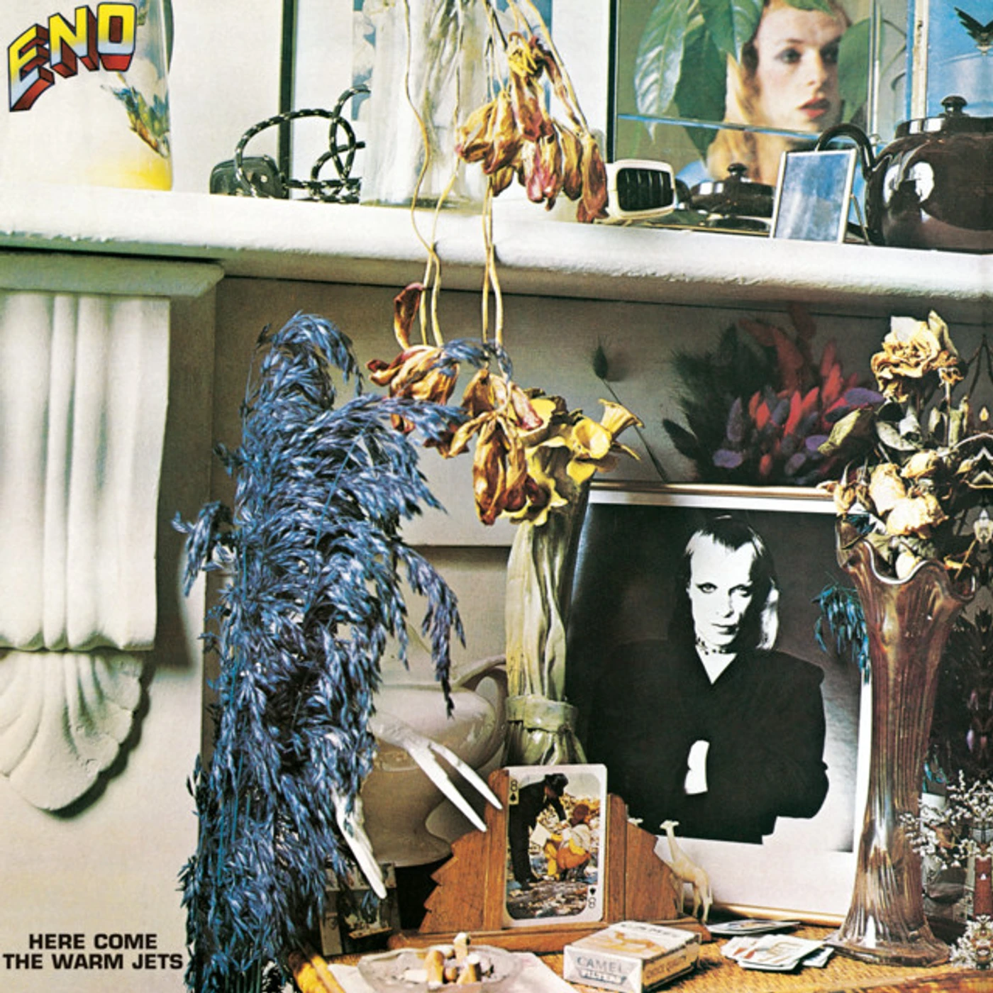 Brian Eno Here Come The Warm Jets (140g/2017 Master) Vinyl Record