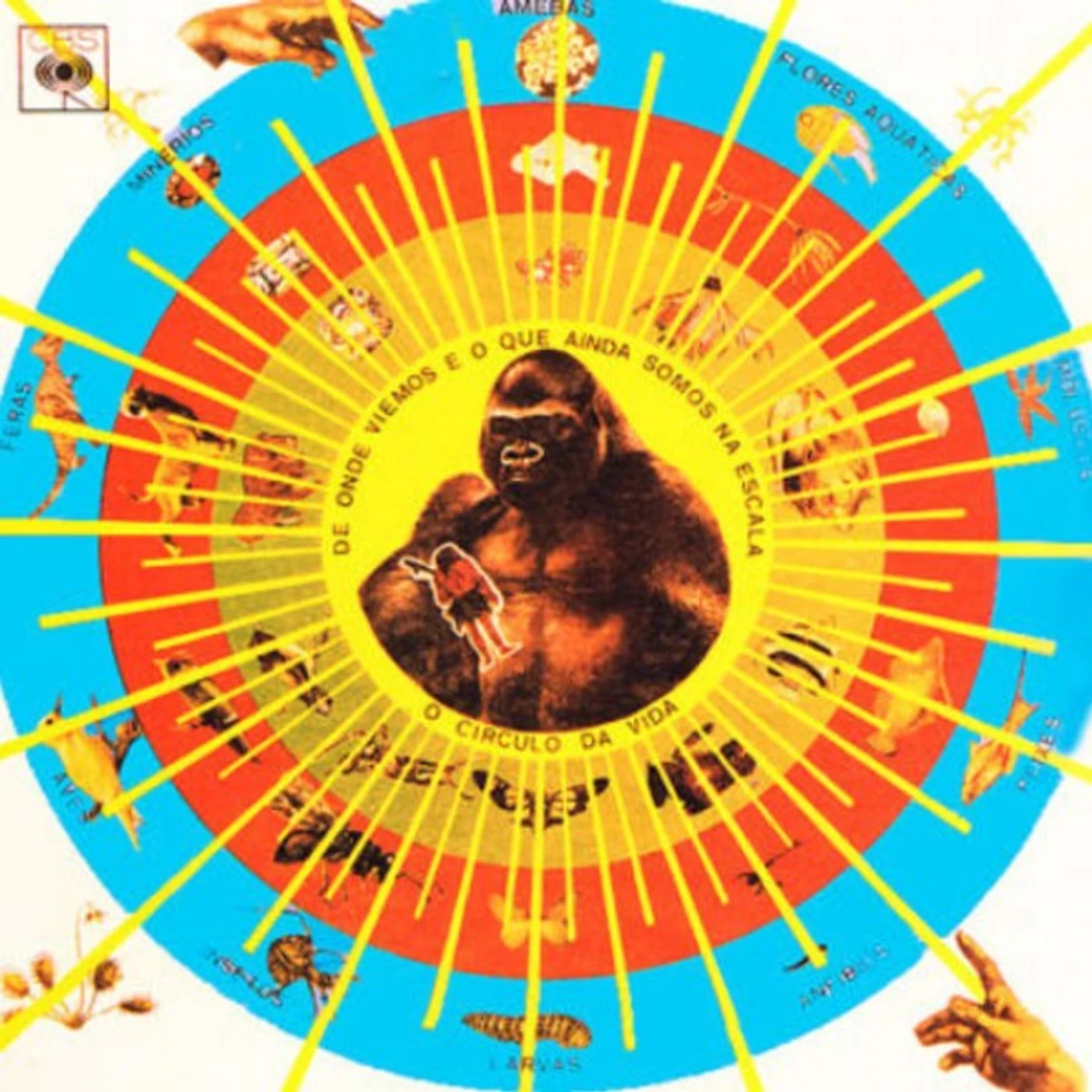 Pedro Santos KRISHNANDA Vinyl Record