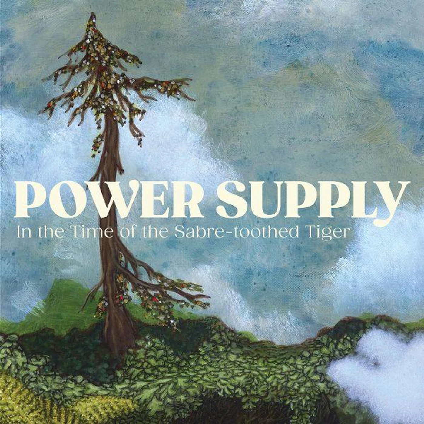 Power Supply IN THE TIME OF THE SABRE-TOOTHED TIGER Vinyl Record