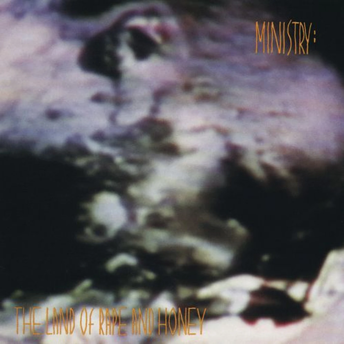 Ministry LAND OF RAPE & HONEY (180G) Vinyl Record