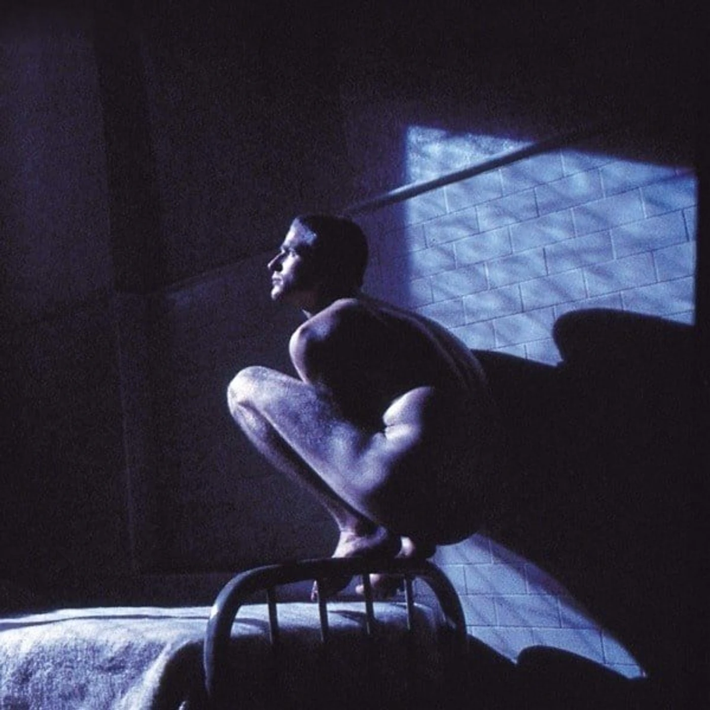 Peter Gabriel Birdy: Music from the Film vinyl record