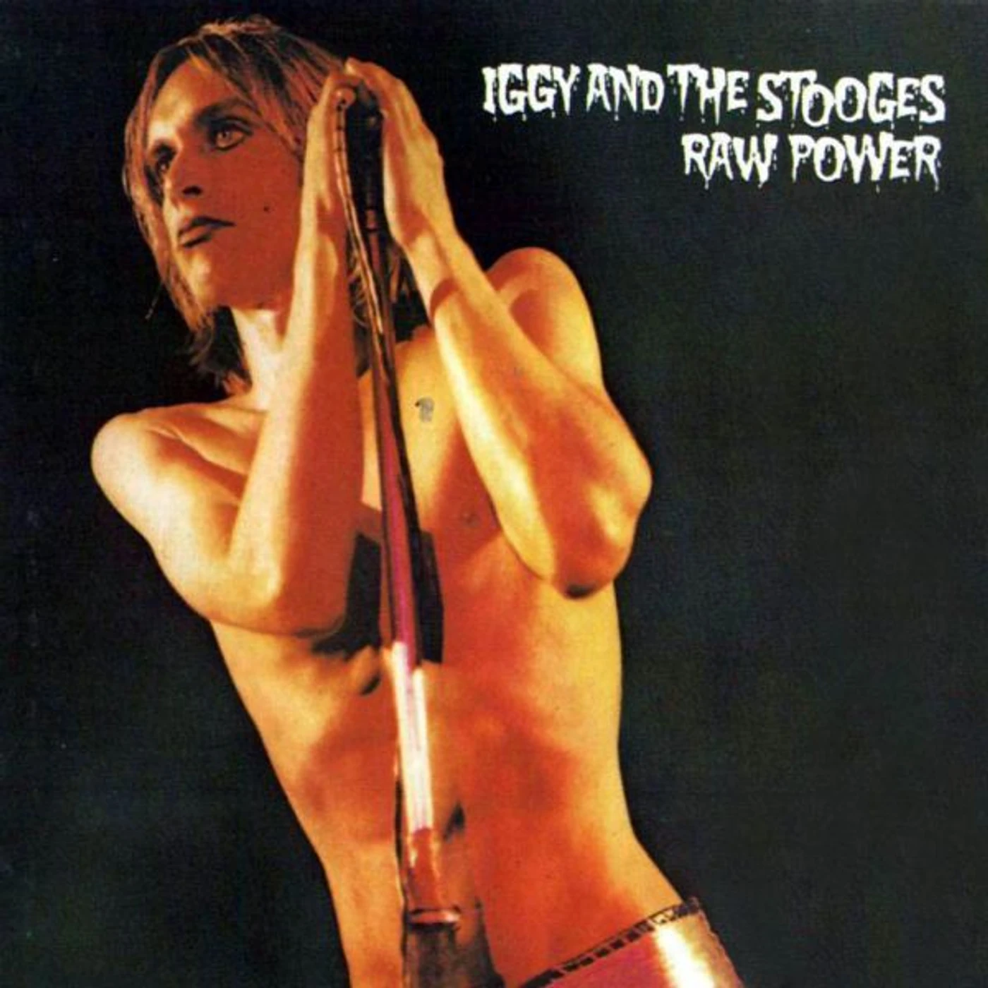 Iggy Pop & The Stooges Raw Power (2LP) Vinyl Record