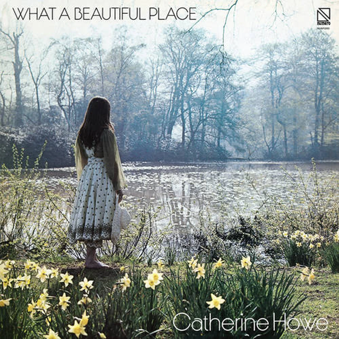 Catherine Howe WHAT A BEAUTIFUL PLACE (YELLOW VINYL) Vinyl Record