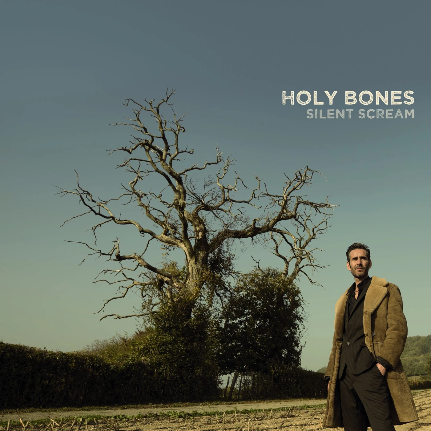 SILENT SCREAM - HOLY BONES (33T)